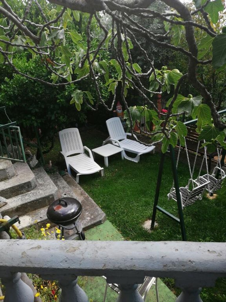 Image 3811514 - 5