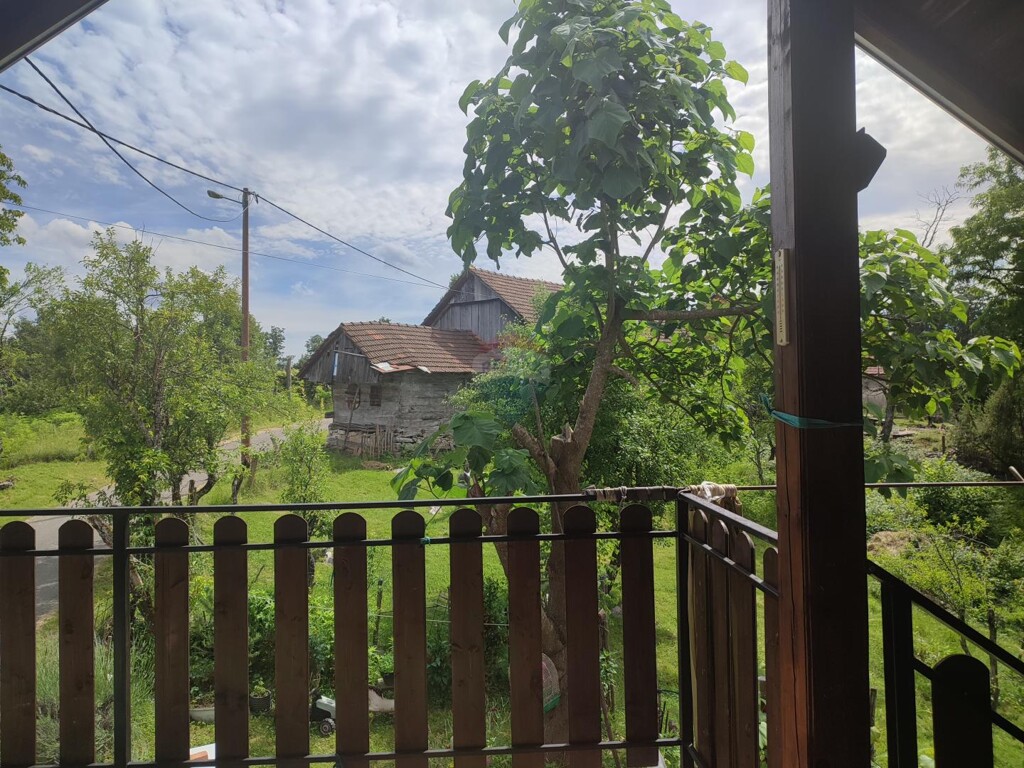 Image 13