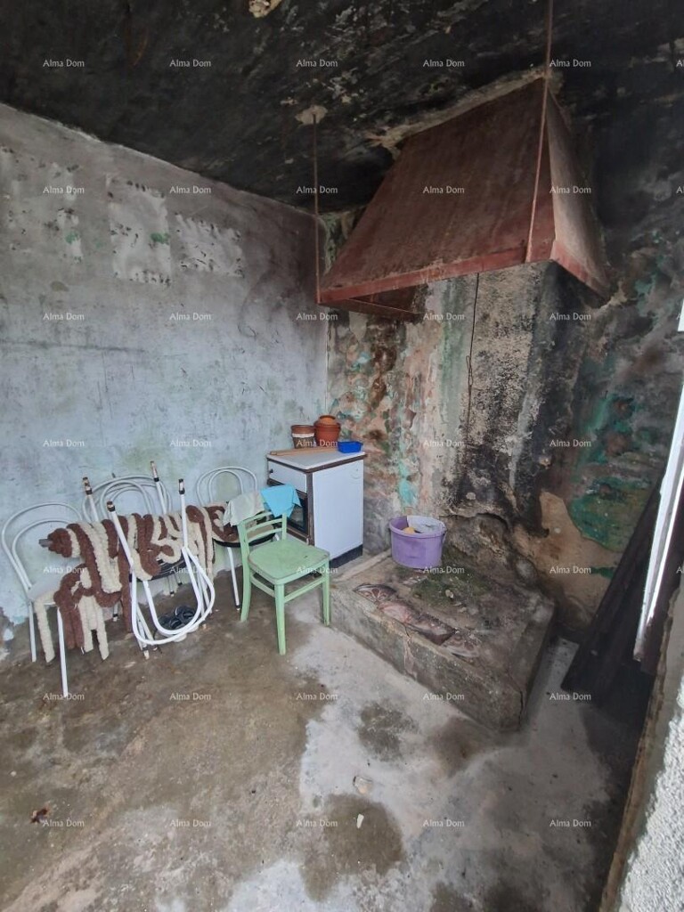 Image 13