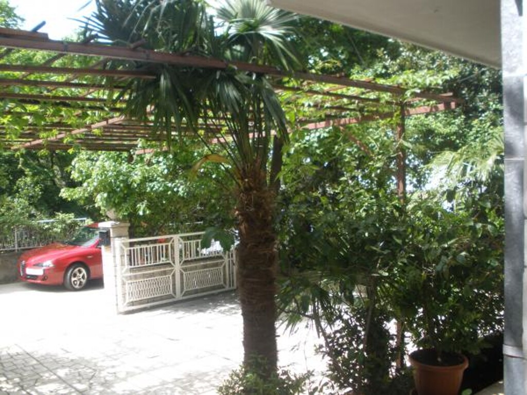 Image 3813625 - 1