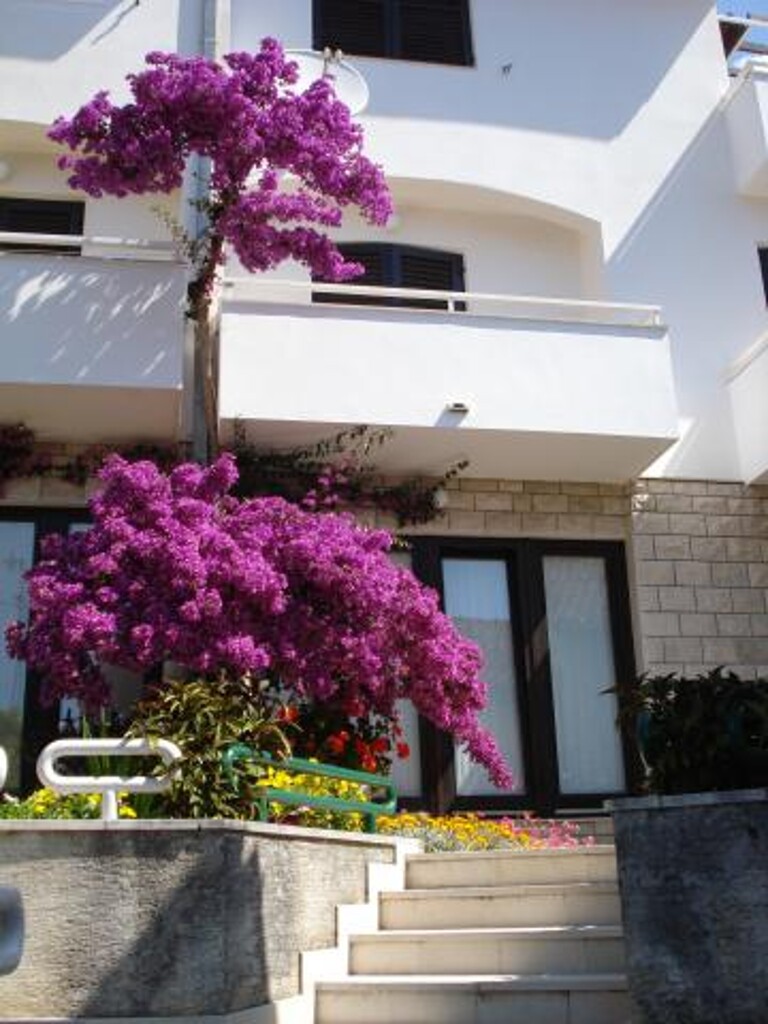 Image 3812809 - 1