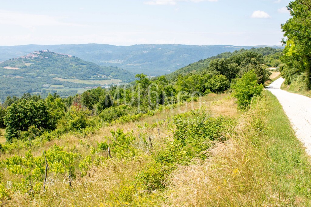 Image 6332021 - 14