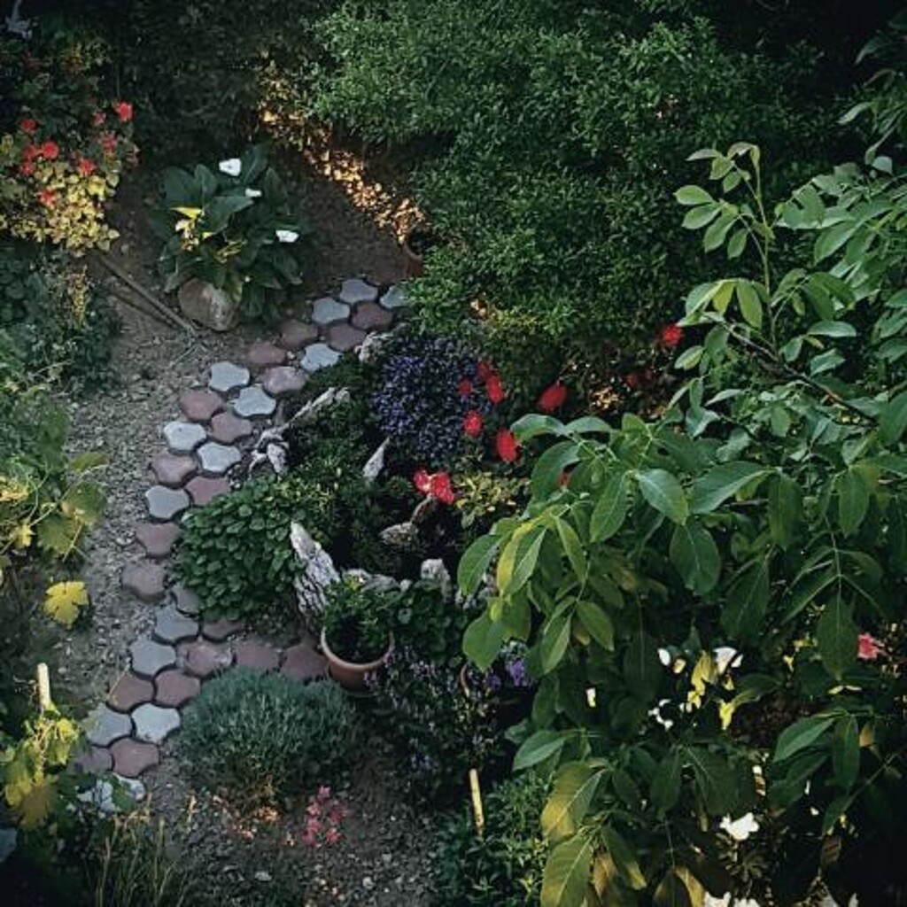 Image 3838644 - 5
