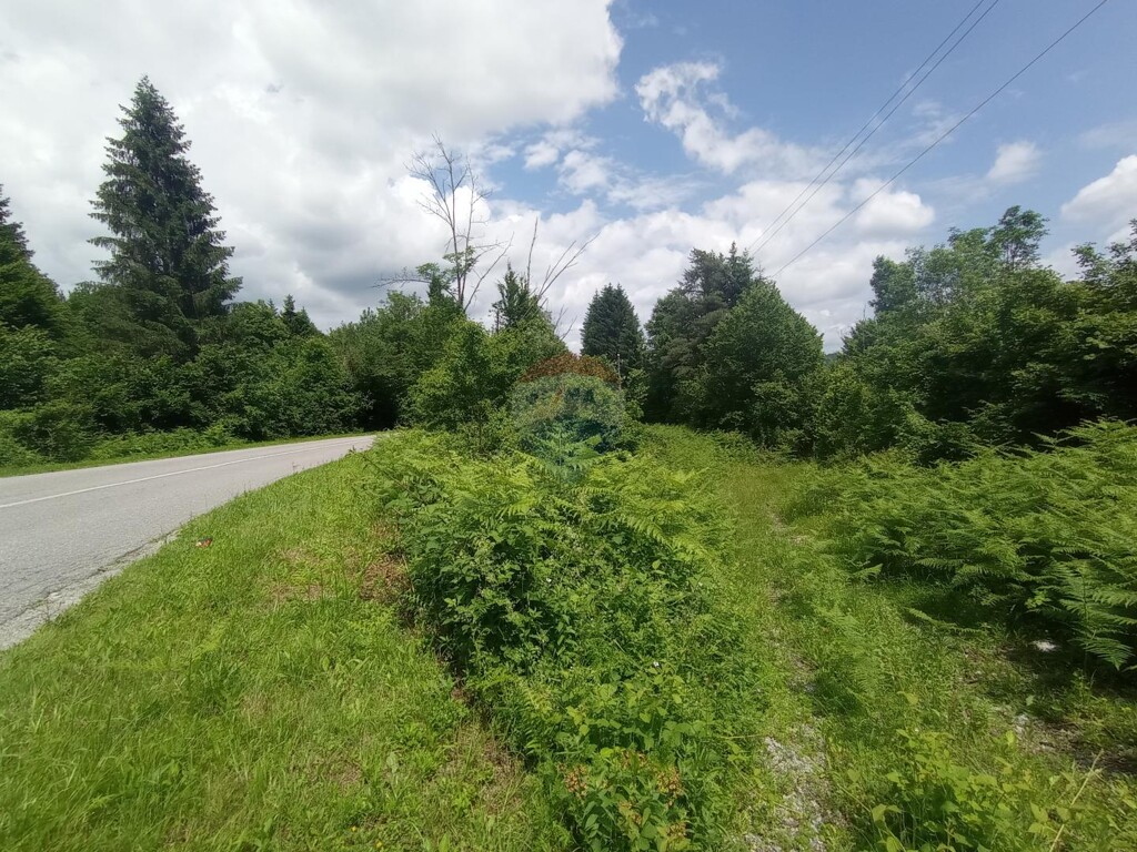Image 5429715 - 1