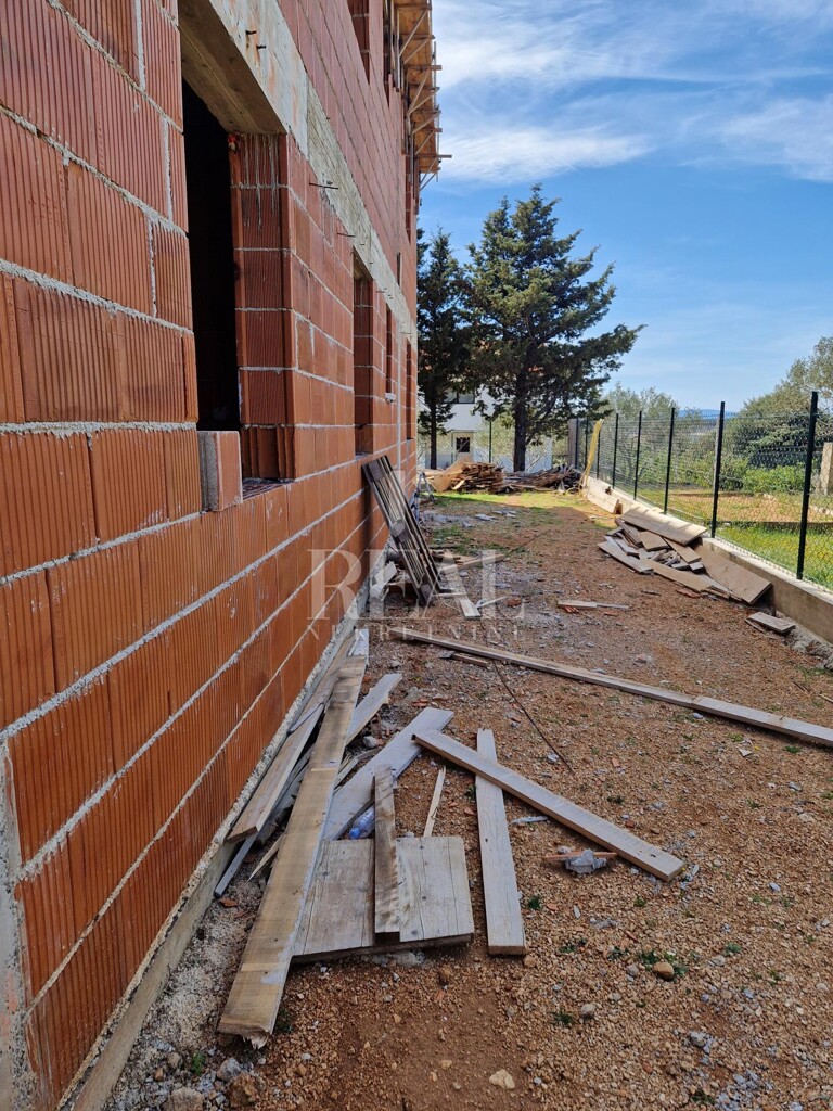 Image 12