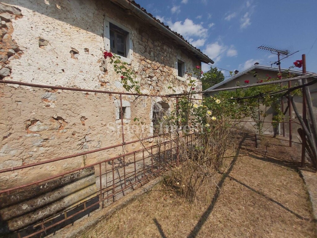 Image 13