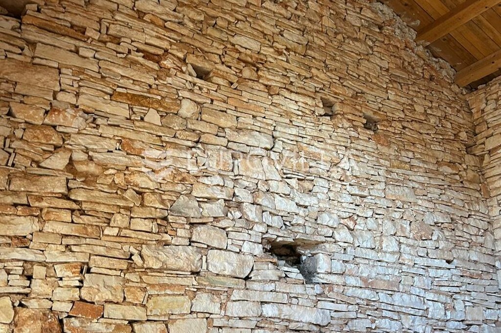 Image 62