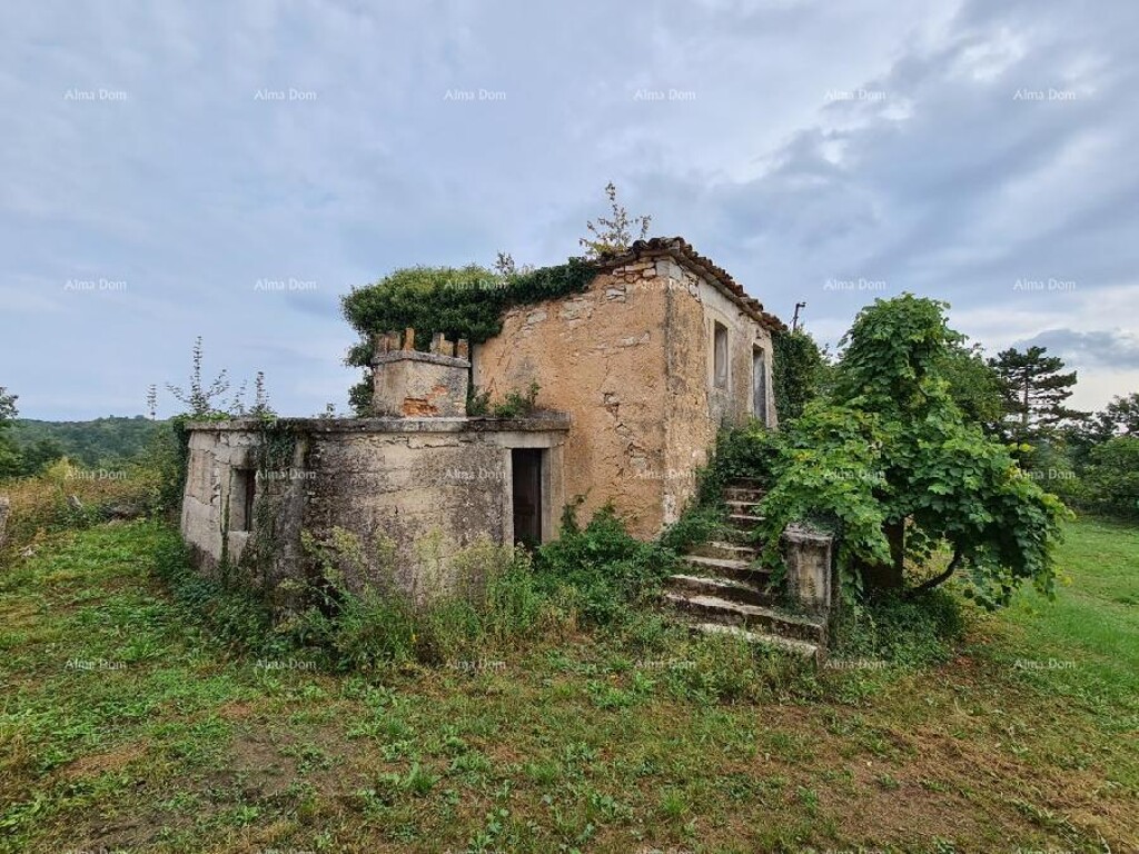 Image 10