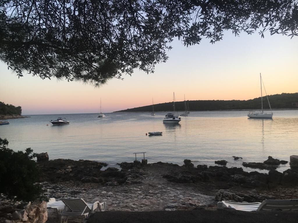 Image 8
