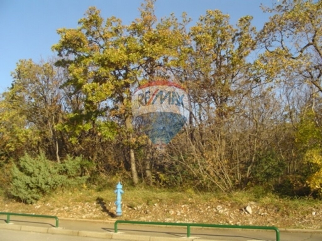Image 5411059 - 2