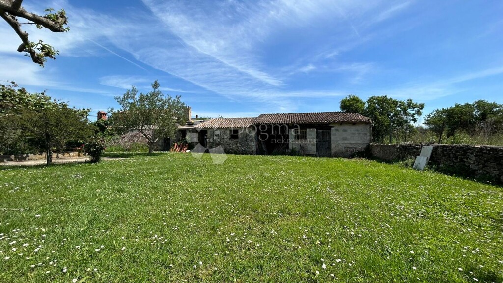 Image 19
