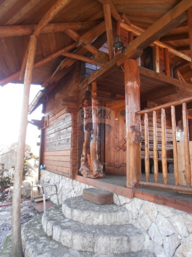 Image 5411078 - 7