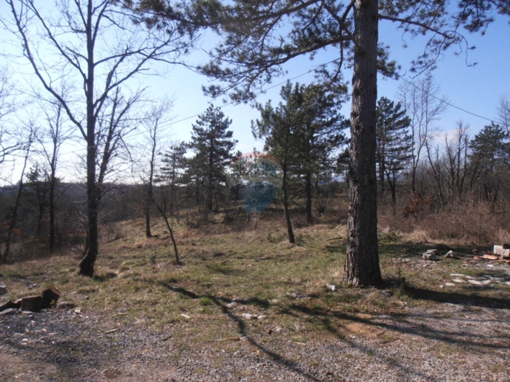 Image 5411078 - 2