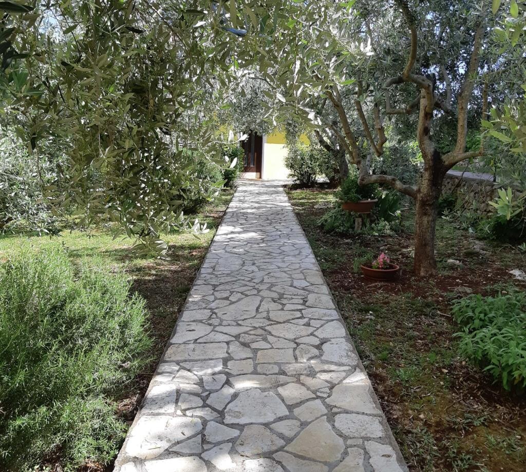 Image 3812611 - 13