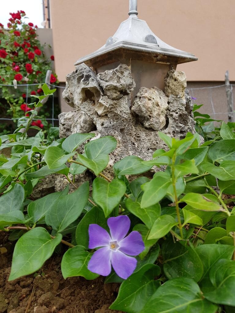 Image 21
