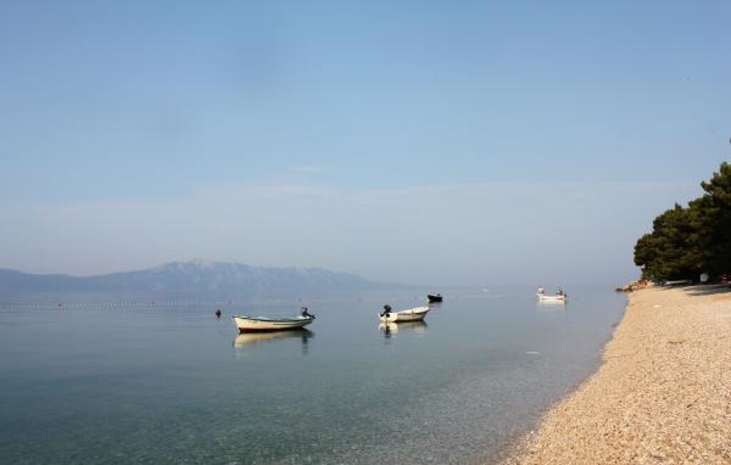 Image 3838940 - 8