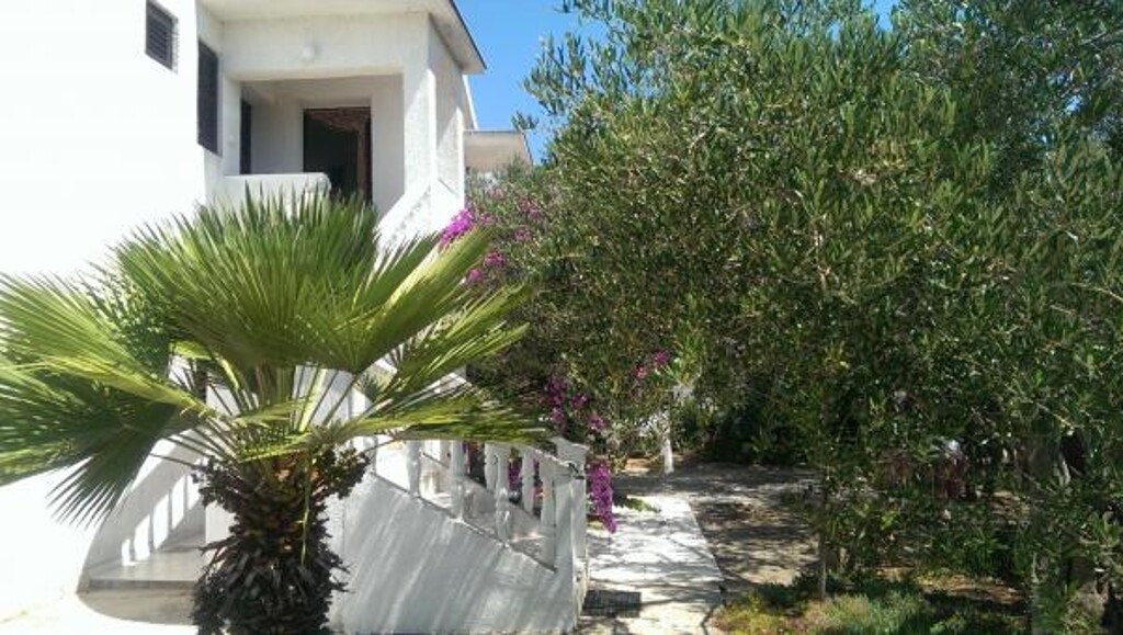 Image 3838612 - 11