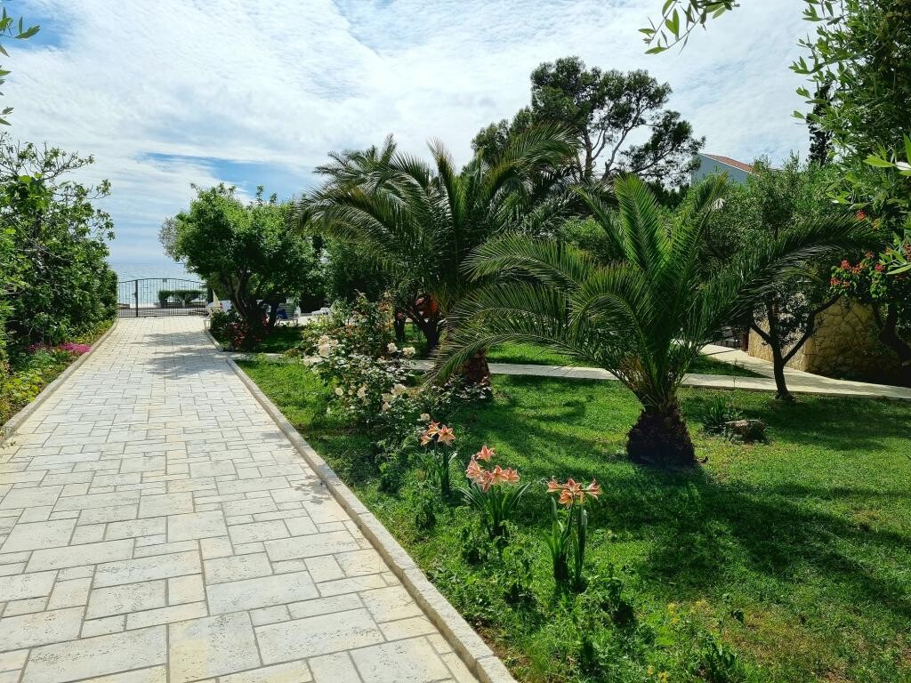 Image 3812074 - 14