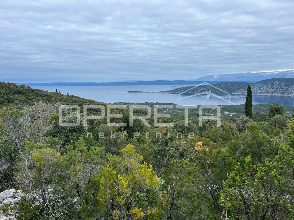Image 15