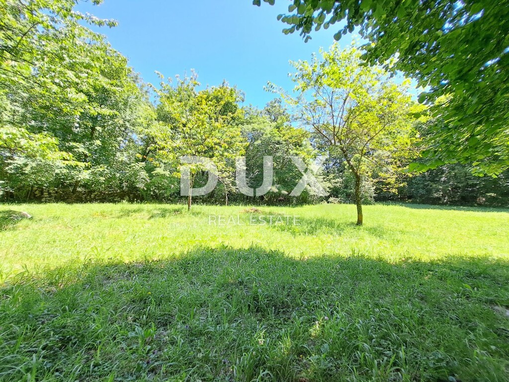 Image 14