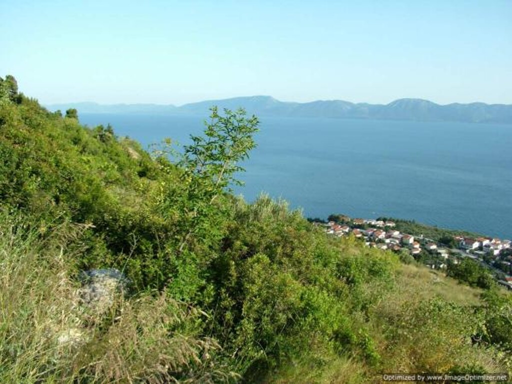 Image 3811506 - 8