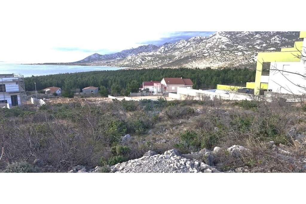 Image 15