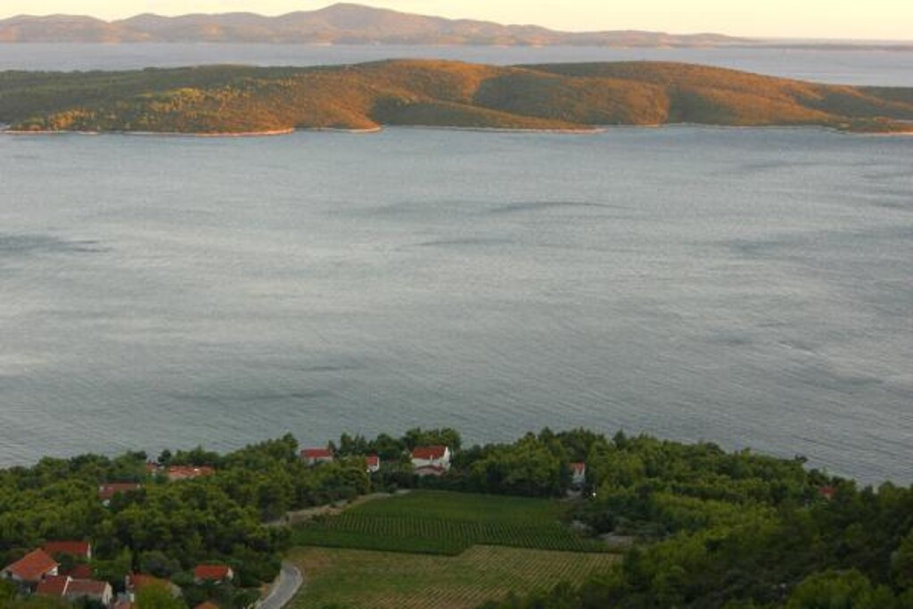 Image 3812996 - 6
