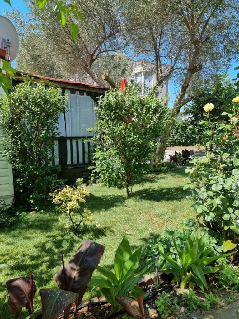 Image 3813824 - 15
