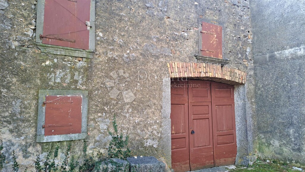 Image 17