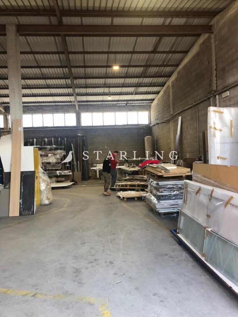 Image 6