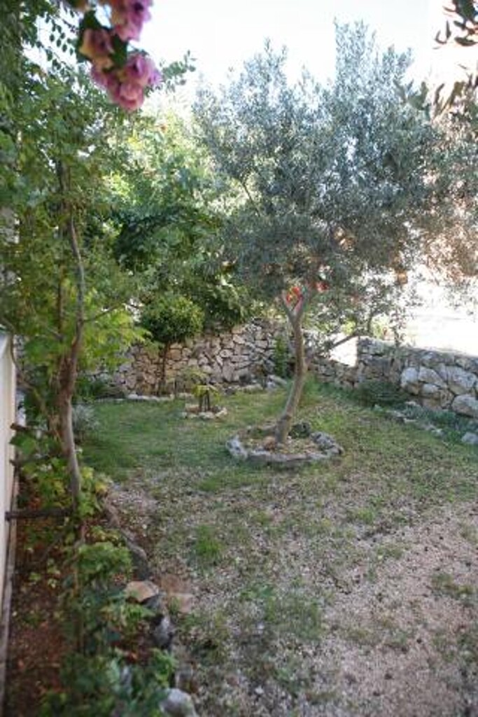 Image 3812530 - 9
