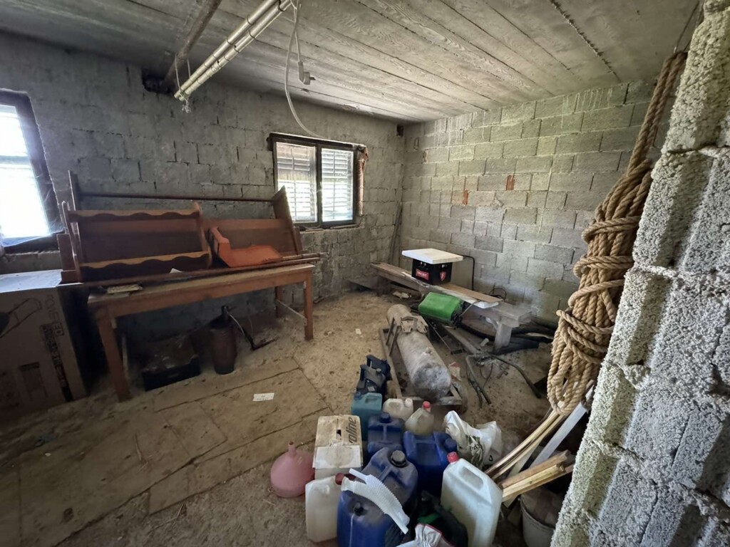 Image 25
