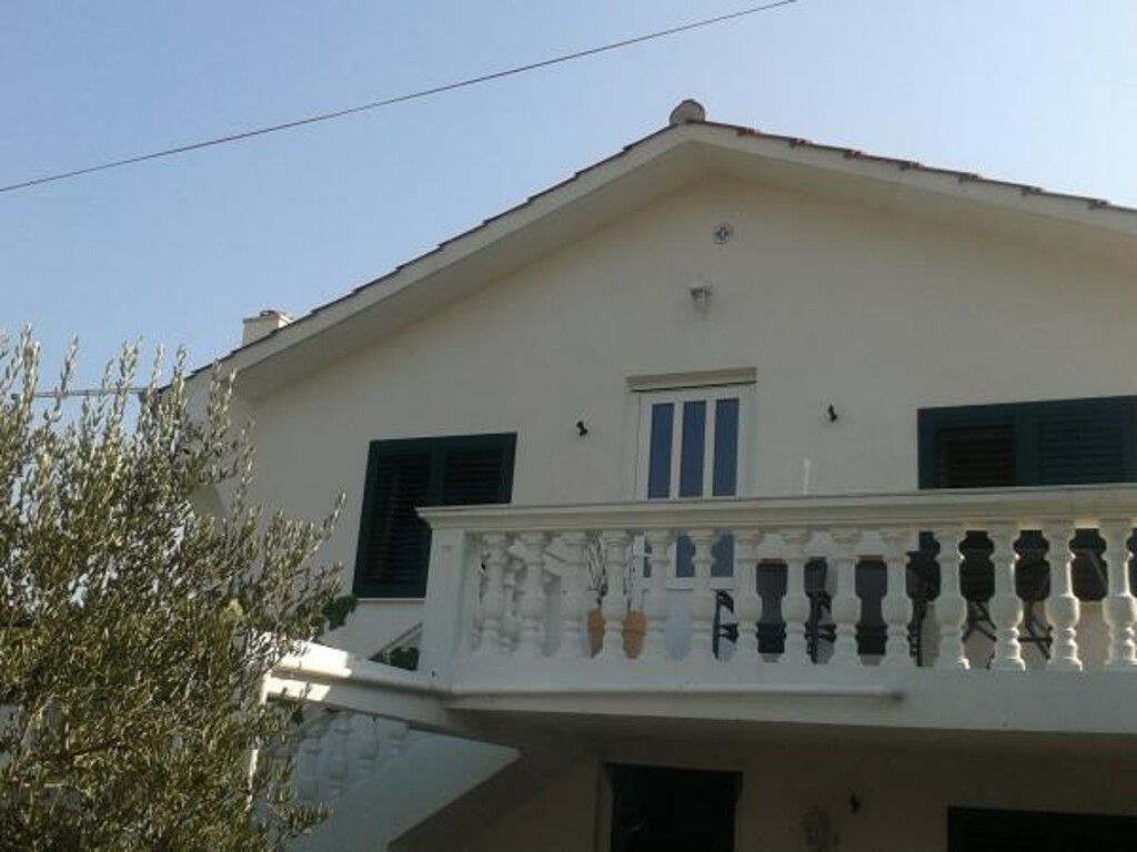 Image 3839013 - 1