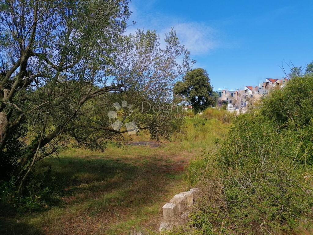 Image 13