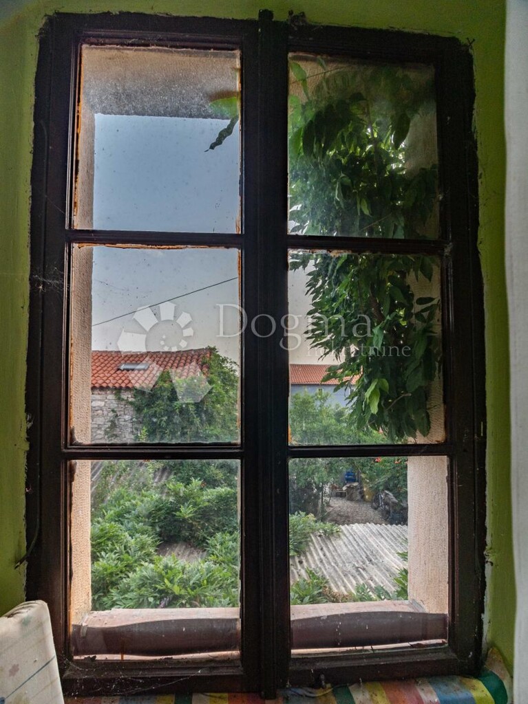 Image 14