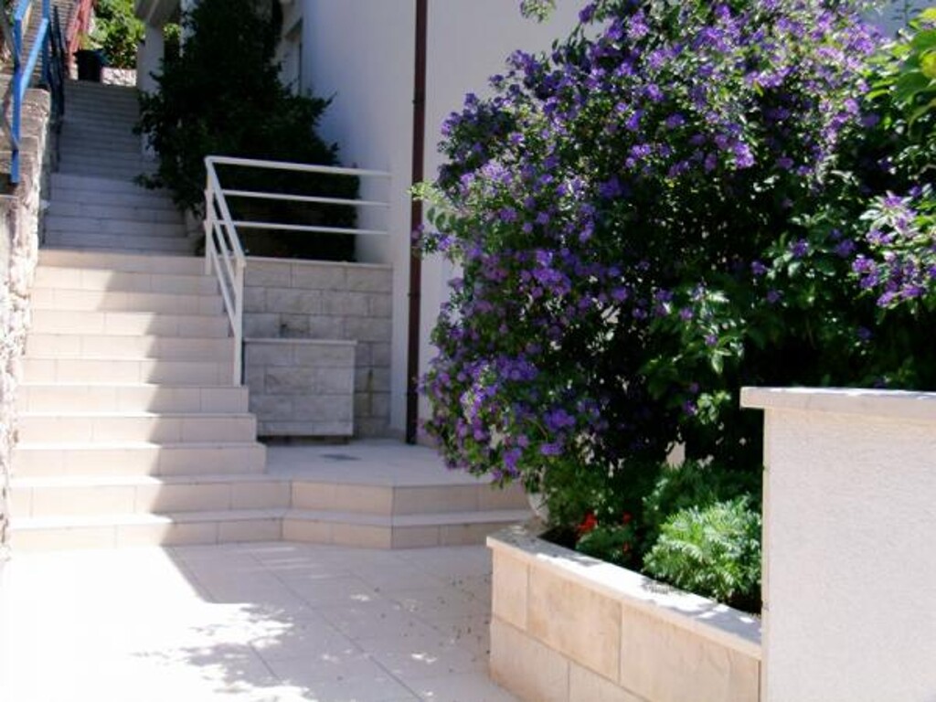 Image 3838565 - 4
