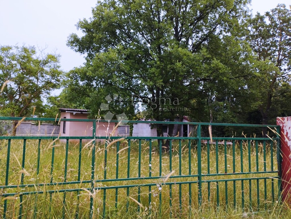 Image 12