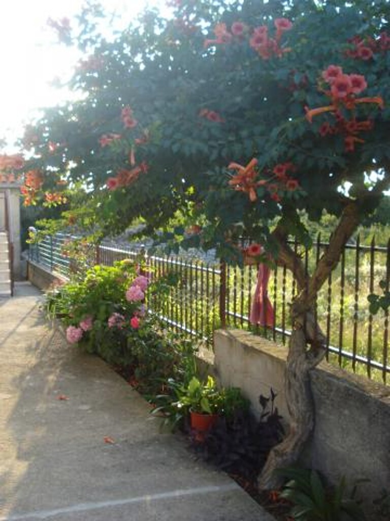 Image 3812786 - 3
