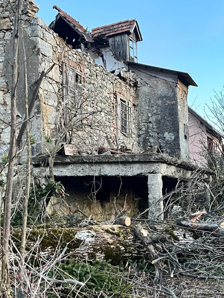 Image 15