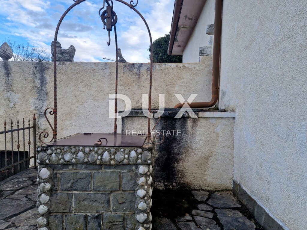 Image 20