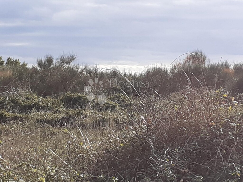 Image 15