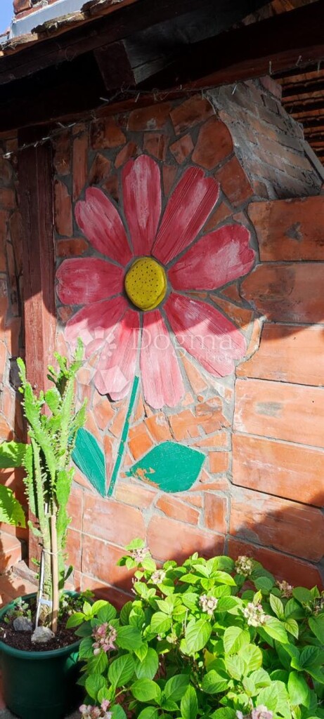 Image 22