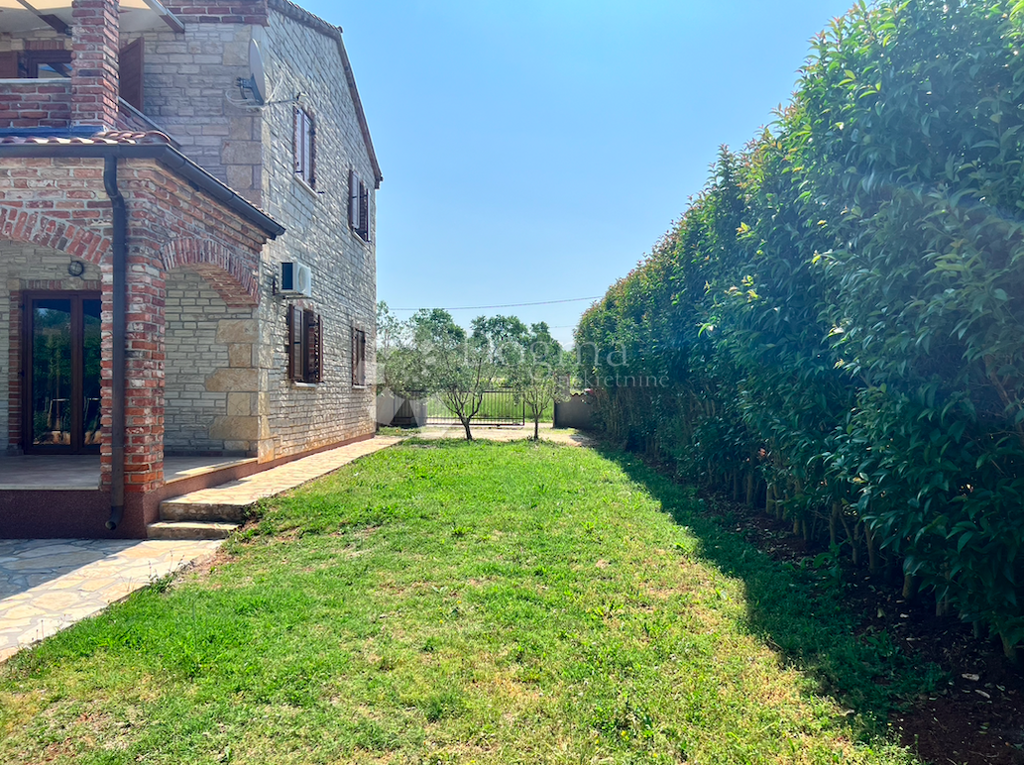 Image 21