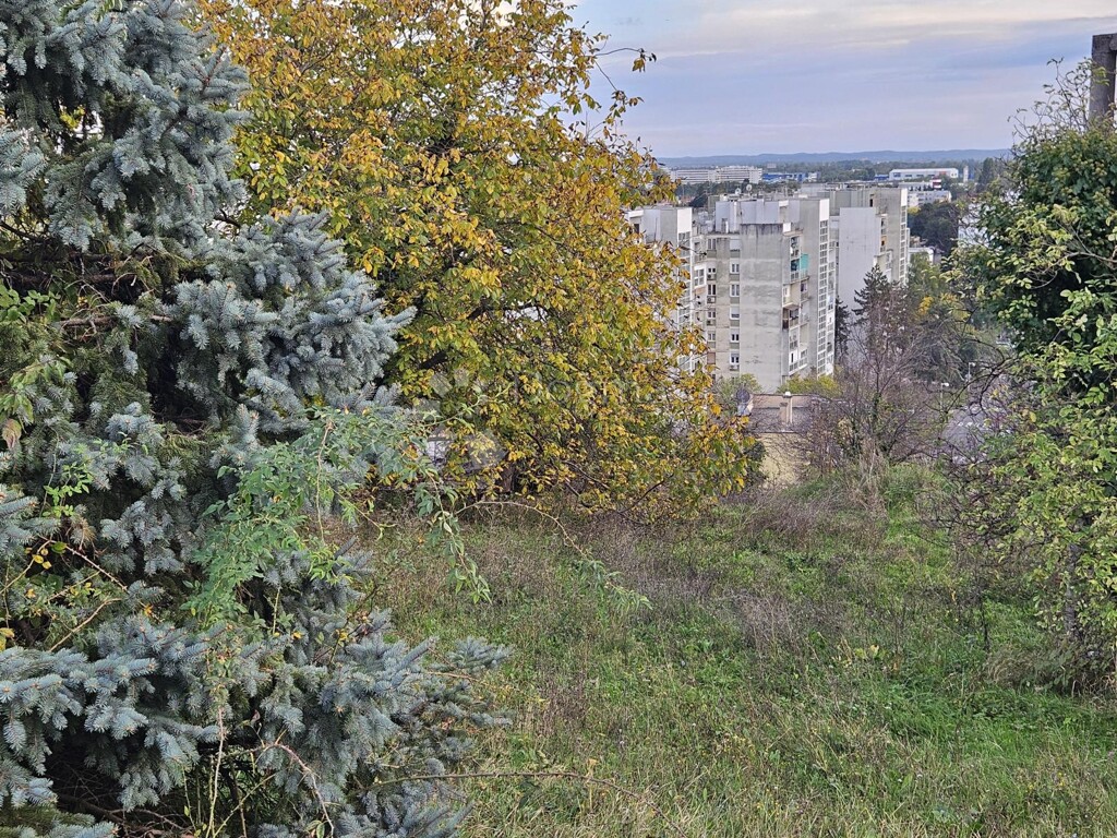 Image 7