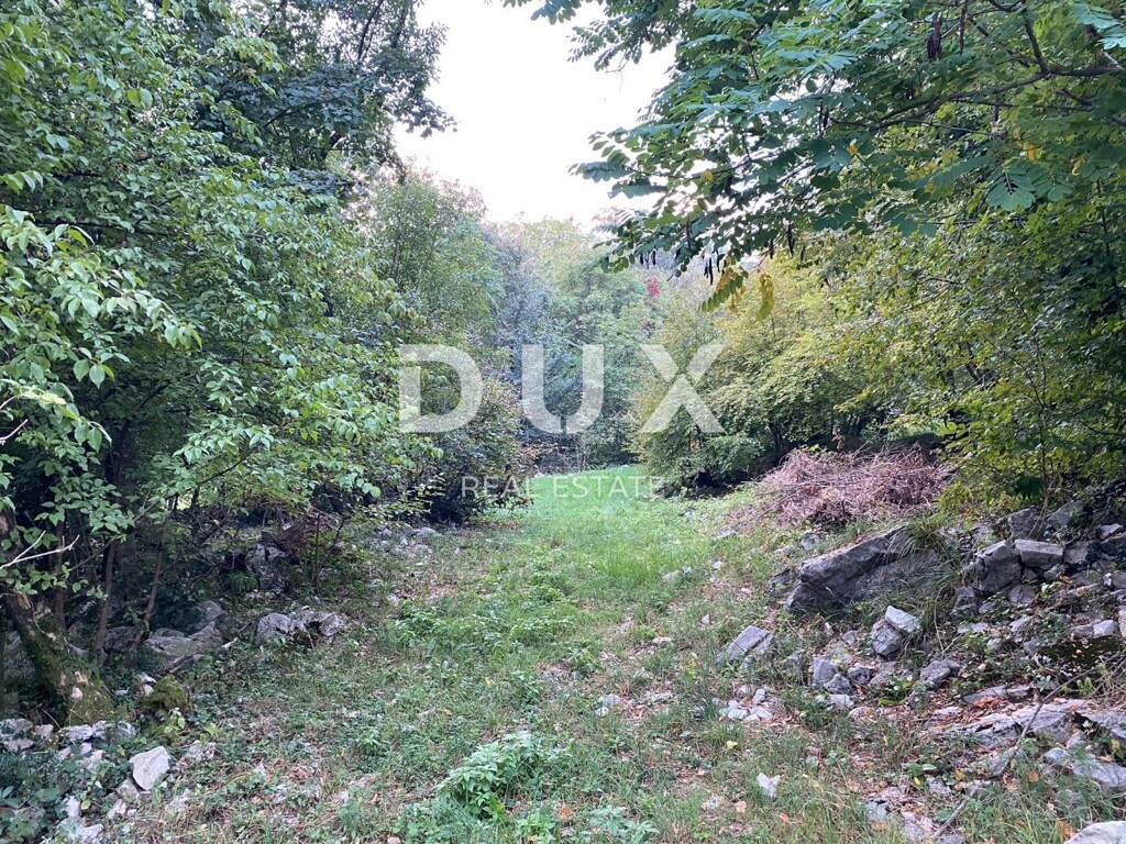 Image 13