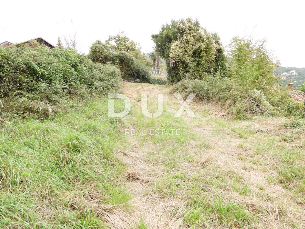 Image 14